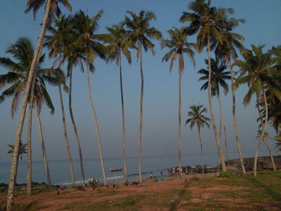 Oceanic Beach Residency Varkala Exterior foto